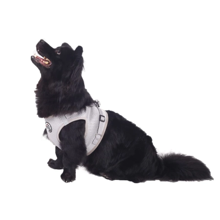 Kamizelka Hund&Kutz XL Regulowana Odblaskowa