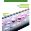 Lampa LED Zingbabu 52W akwariowa pełne spektrum 116-140 cm timer