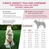 Szelki dla psów Lasaline X Back czarny Canicross Scooter sanki sportowe