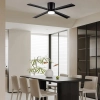 Wentylator sufitowy NEWDAY 122cm LED z lampą pilot DC czarny 4 łopatki