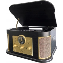 DLITIME Gramofon z głośnikami i Bluetooth, Retro System Stereo