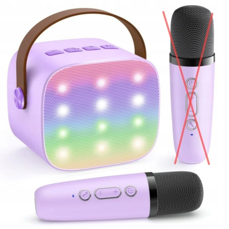 ZESTAW DO MINI KARAOKE DLA DZIECI Z 2 MIKROFONAMI BEZPRZEWODOWYMI DO PARTIA