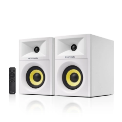 Głośnik regałowy Sanyun SW205 80W z trybem Hi-Fi i Bluetooth