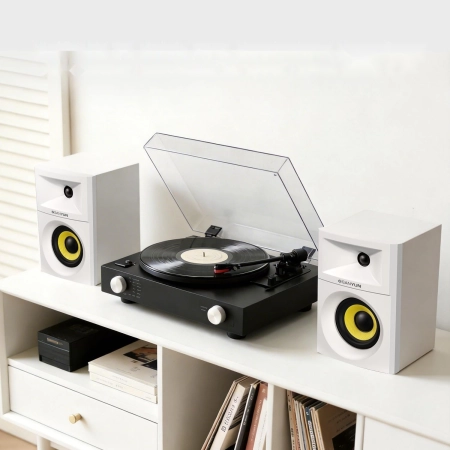 Głośnik regałowy Sanyun SW205 80W z trybem Hi-Fi i Bluetooth