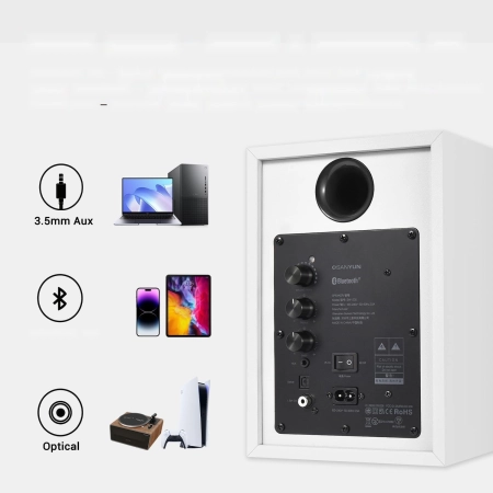 Głośnik regałowy Sanyun SW205 80W z trybem Hi-Fi i Bluetooth