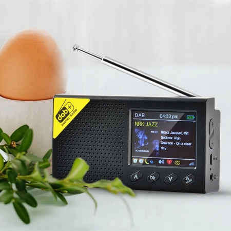 Radio sieciowo-bateryjne internetowe RADIO CYFROWE