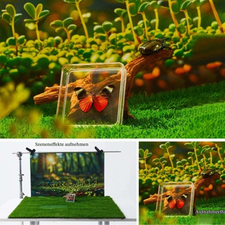 Tło Fotograficzne ZUOMIDIE A-6 6 sztuk 57x88 cm 2w1 w klimacie leśnym
