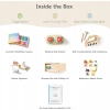 Zabawka Fortella Go Grow Box Montessori 13-15 miesięcy rozwojowa