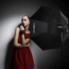 AMBITFUL FW120 120cm z siatką plastra miodu, Bowens WADA