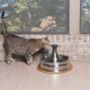 PetSafe Drinkwell 360 Pet Fountain 3,8L duża fontanna Poidło dla kota i psa