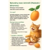 Sznurek z Kocimiętką Zabawka dla Kota 70 cm naturalna ręcznie wykonana 4szt