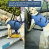 Coodeo Dog Lift Harness - szelki rehabilitacyjne dla psa XL