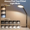 Lampa biurkowa LED LitONES F-630 15W regulacja jasności 3 tryby czarna