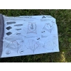 Namiot 3 Osobowy Wodoodporny Lekki Na Camping FORCEATT