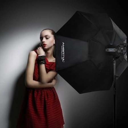 AMBITFUL FW120 120cm z siatką plastra miodu, Bowens WADA