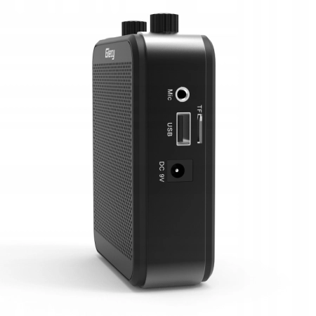 Głośnik przenośny Giecy G300 czarny 30 W Bluetooth akumulatorowy