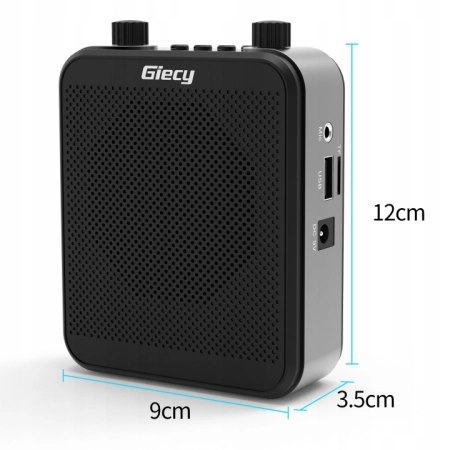 Głośnik przenośny Giecy G300 czarny 30 W Bluetooth akumulatorowy