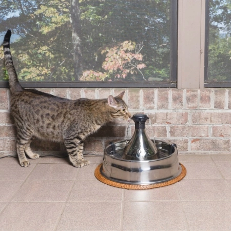 PetSafe Drinkwell 360 Pet Fountain 3,8L duża fontanna Poidło dla kota i psa