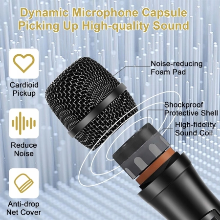 ALPOWL WXM Zhong Kong Karaoke Zestaw 2 Mikrofonów Bezprzewodowych UHF